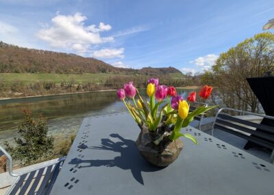 Inspiration am Flussufer im Thurgau für die organischen Formen von WabiSui Keramik.