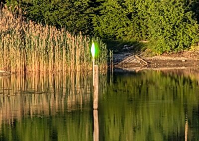 Inspiration am Flussufer im Thurgau für die organischen Formen von WabiSui Keramik.