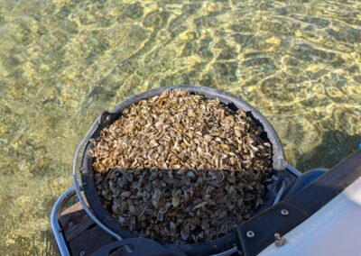 Lokale Rohstoffe wie Sand und Muschelschalen vom Rheinufer für die eigene Glasurherstellung.