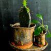 Wabi-Sabi Pflanzgefäße mit herablaufender Asche und Rhein-Muschel Glasur