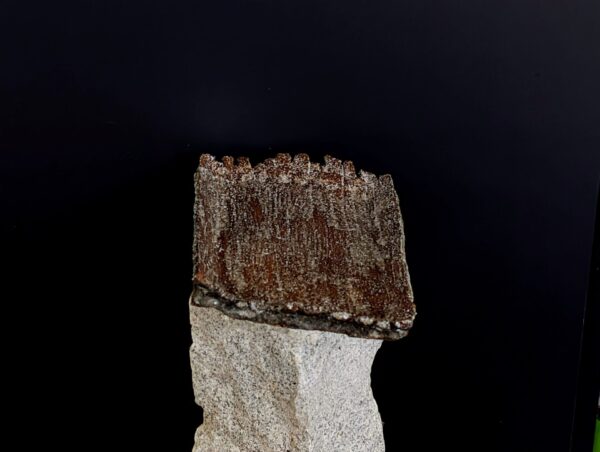 Zackige rindenartige Kanten einer flachen Wabi-Sabi Designerplatte